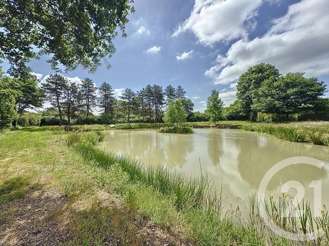 Maison à vendre - 6 pièces - 140,95 m2 - La Ferte St Aubin - 45 - CENTRE