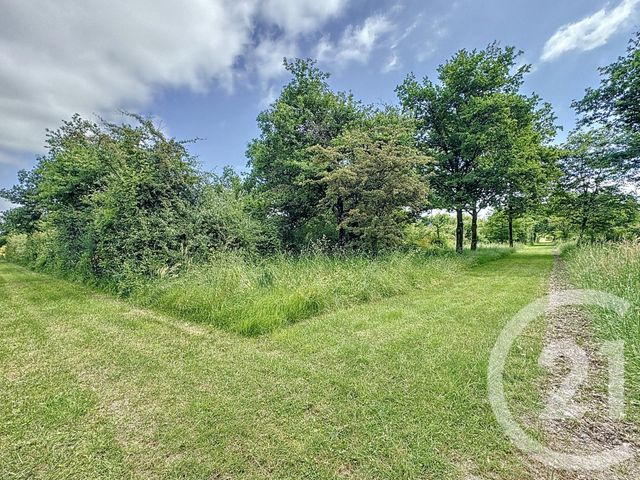 Maison à vendre - 6 pièces - 140,95 m2 - La Ferte St Aubin - 45 - CENTRE