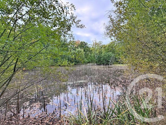 Maison à vendre - 11 pièces - 370 m2 - Menestreau En Villette - 45 - CENTRE