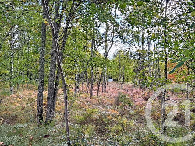 Maison à vendre - 11 pièces - 370 m2 - Menestreau En Villette - 45 - CENTRE