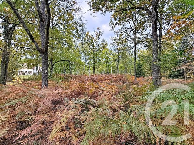 Maison à vendre - 11 pièces - 370 m2 - Menestreau En Villette - 45 - CENTRE