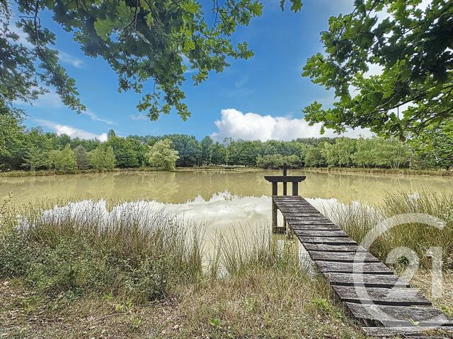 Maison à vendre - 7 pièces - 240 m2 - Ardon - 45 - CENTRE