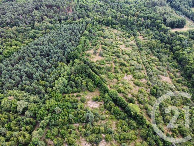 Terrain à vendre - 98964 m2 - La Ferte St Aubin - 45 - CENTRE