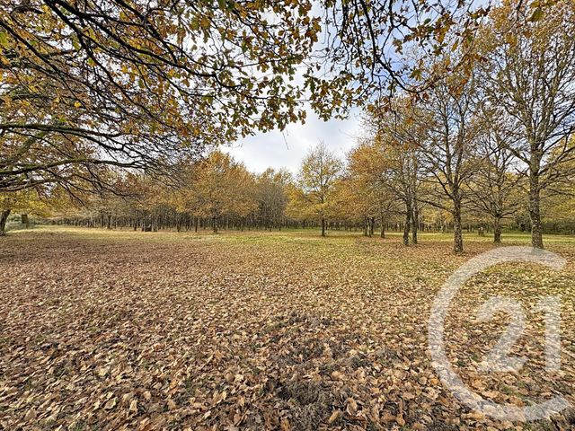 Maison à vendre - 6 pièces - 219,55 m2 - Menestreau En Villette - 45 - CENTRE