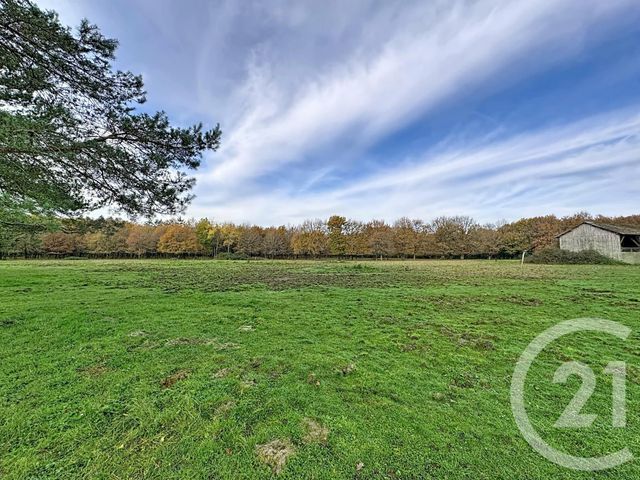 Maison à vendre - 6 pièces - 219,55 m2 - Menestreau En Villette - 45 - CENTRE