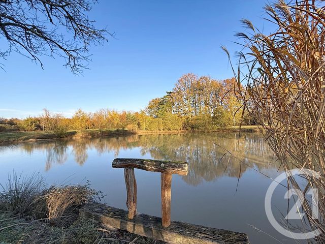 Maison à vendre - 6 pièces - 209,04 m2 - Menestreau En Villette - 45 - CENTRE