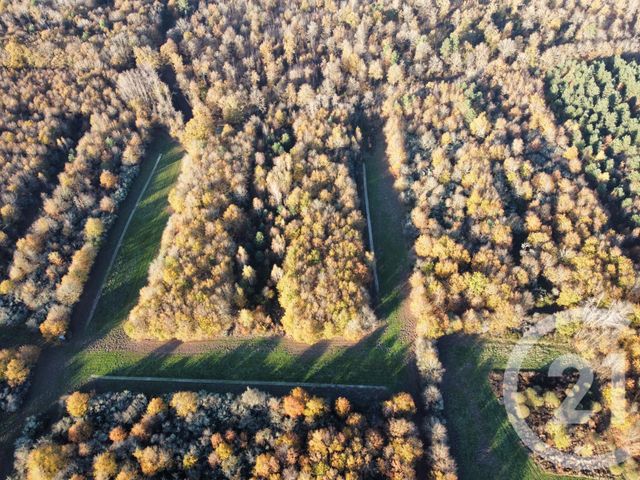 Maison à vendre - 6 pièces - 209,04 m2 - Menestreau En Villette - 45 - CENTRE