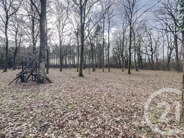 Maison &agrave; vendre - 1 pi&egrave;ce - 29,01 m2 - Olivet - 45 - CENTRE