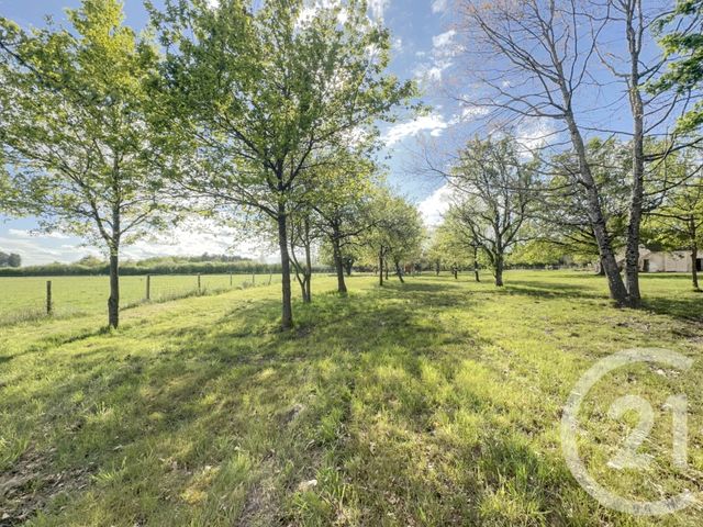 Maison &agrave; vendre - 8 pi&egrave;ces - 140 m2 - Ligny Le Ribault - 45 - CENTRE