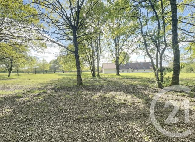 Maison &agrave; vendre - 8 pi&egrave;ces - 140 m2 - Ligny Le Ribault - 45 - CENTRE