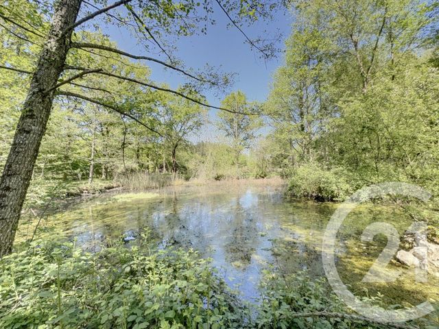 Maison &agrave; vendre - 9 pi&egrave;ces - 203 m2 - Ligny Le Ribault - 45 - CENTRE