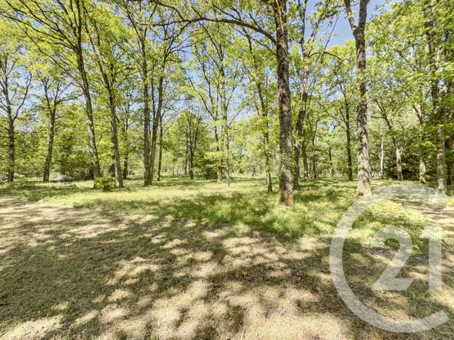 Maison &agrave; vendre - 9 pi&egrave;ces - 203 m2 - Ligny Le Ribault - 45 - CENTRE