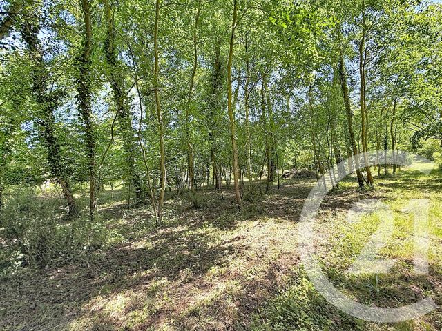 terrain - LA FERTE ST AUBIN - 45