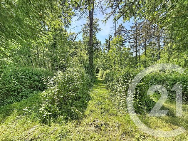 Maison &agrave; vendre - 5 pi&egrave;ces - 112 m2 - La Ferte St Aubin - 45 - CENTRE