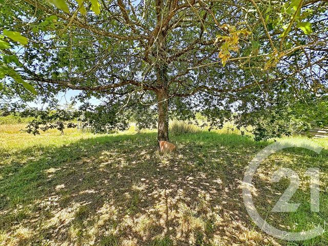 Maison &agrave; vendre - 6 pi&egrave;ces - 134,33 m2 - Vernou En Sologne - 41 - CENTRE