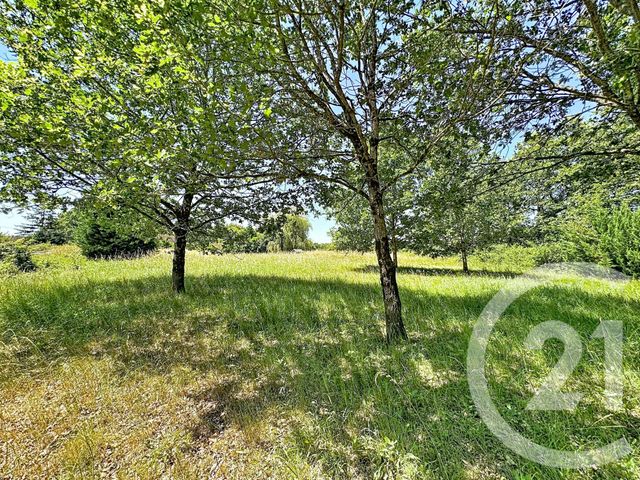 Maison &agrave; vendre - 6 pi&egrave;ces - 134,33 m2 - Vernou En Sologne - 41 - CENTRE