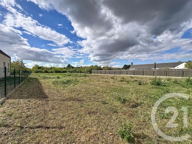 terrain - OLIVET - 45