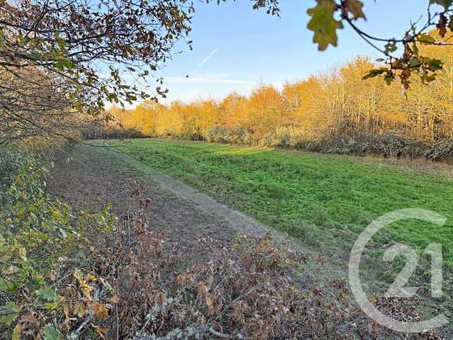 Maison à vendre - 6 pièces - 209,04 m2 - Olivet - 45 - CENTRE