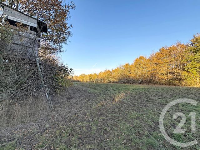 Maison &agrave; vendre - 6 pi&egrave;ces - 209,04 m2 - Menestreau En Villette - 45 - CENTRE