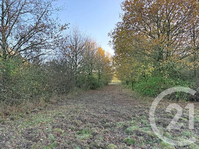 Maison &agrave; vendre - 6 pi&egrave;ces - 209,04 m2 - Menestreau En Villette - 45 - CENTRE