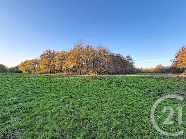 Maison &agrave; vendre - 6 pi&egrave;ces - 209,04 m2 - Menestreau En Villette - 45 - CENTRE