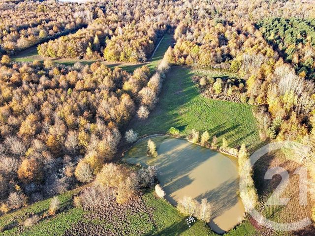 Maison &agrave; vendre - 6 pi&egrave;ces - 209,04 m2 - Menestreau En Villette - 45 - CENTRE